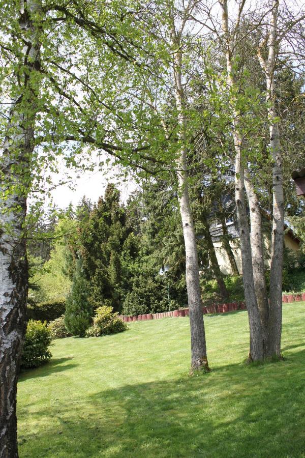 Ferienhaus Harzblick Güntersberge エクステリア 写真